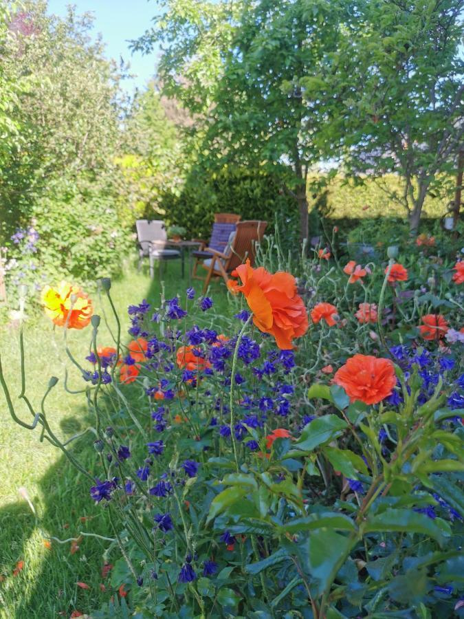Gartenwohnung Paulsdorf Dippoldiswalde