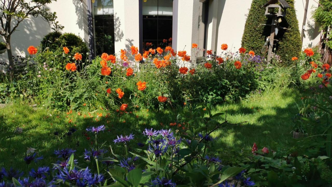 Gartenwohnung Paulsdorf * Dippoldiswalde