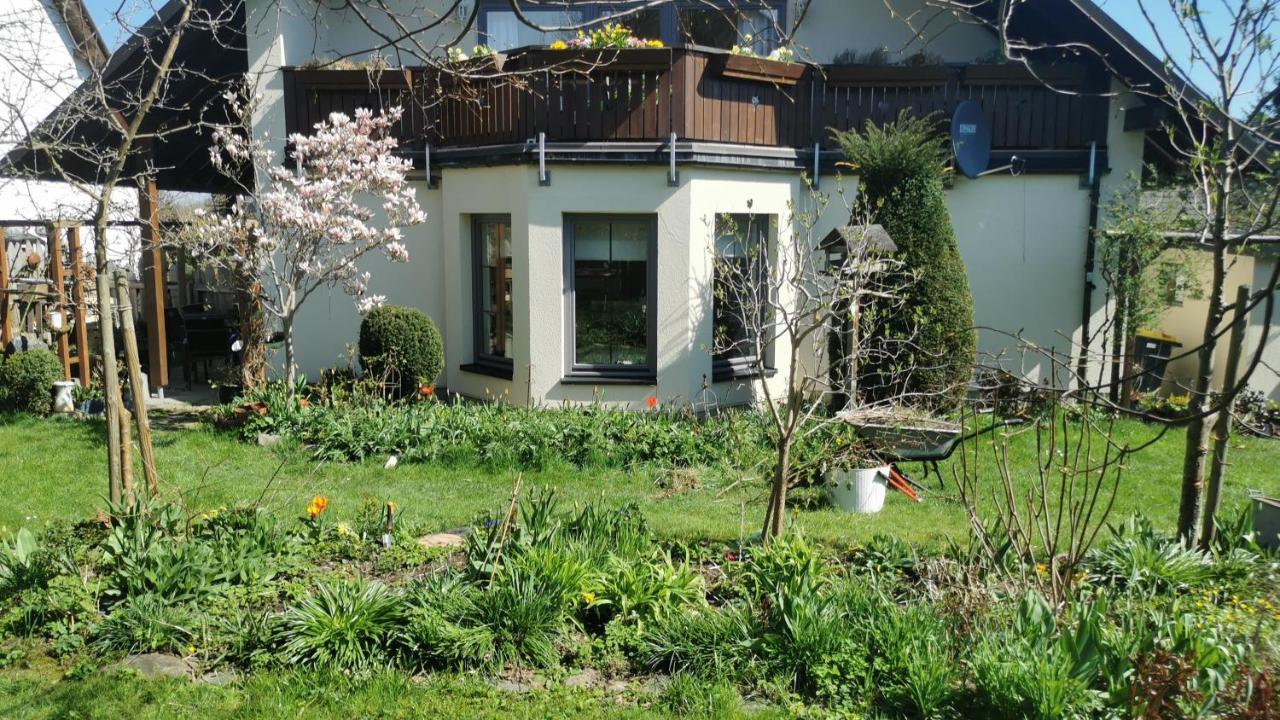 Apartment Gartenwohnung Paulsdorf