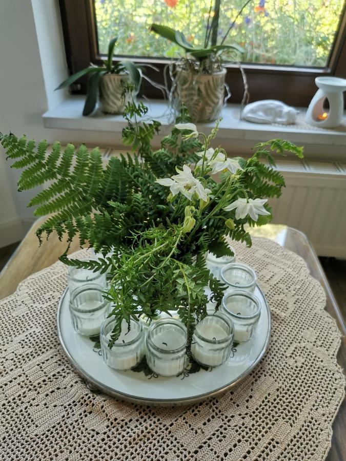 Apartment Gartenwohnung Paulsdorf *