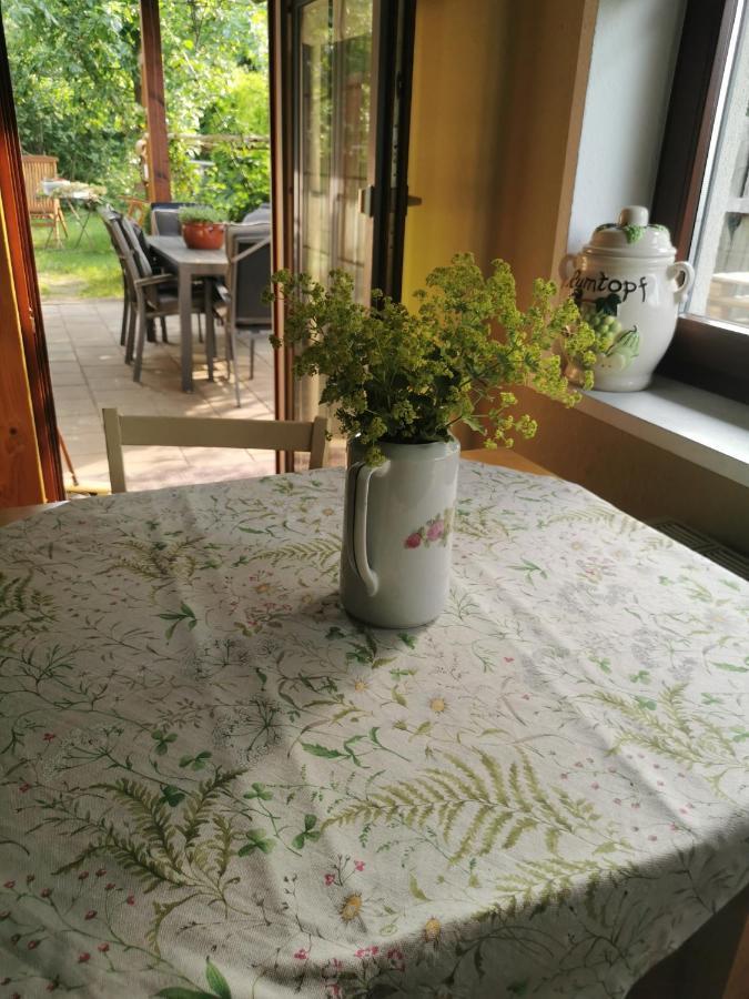 Gartenwohnung Paulsdorf Dippoldiswalde